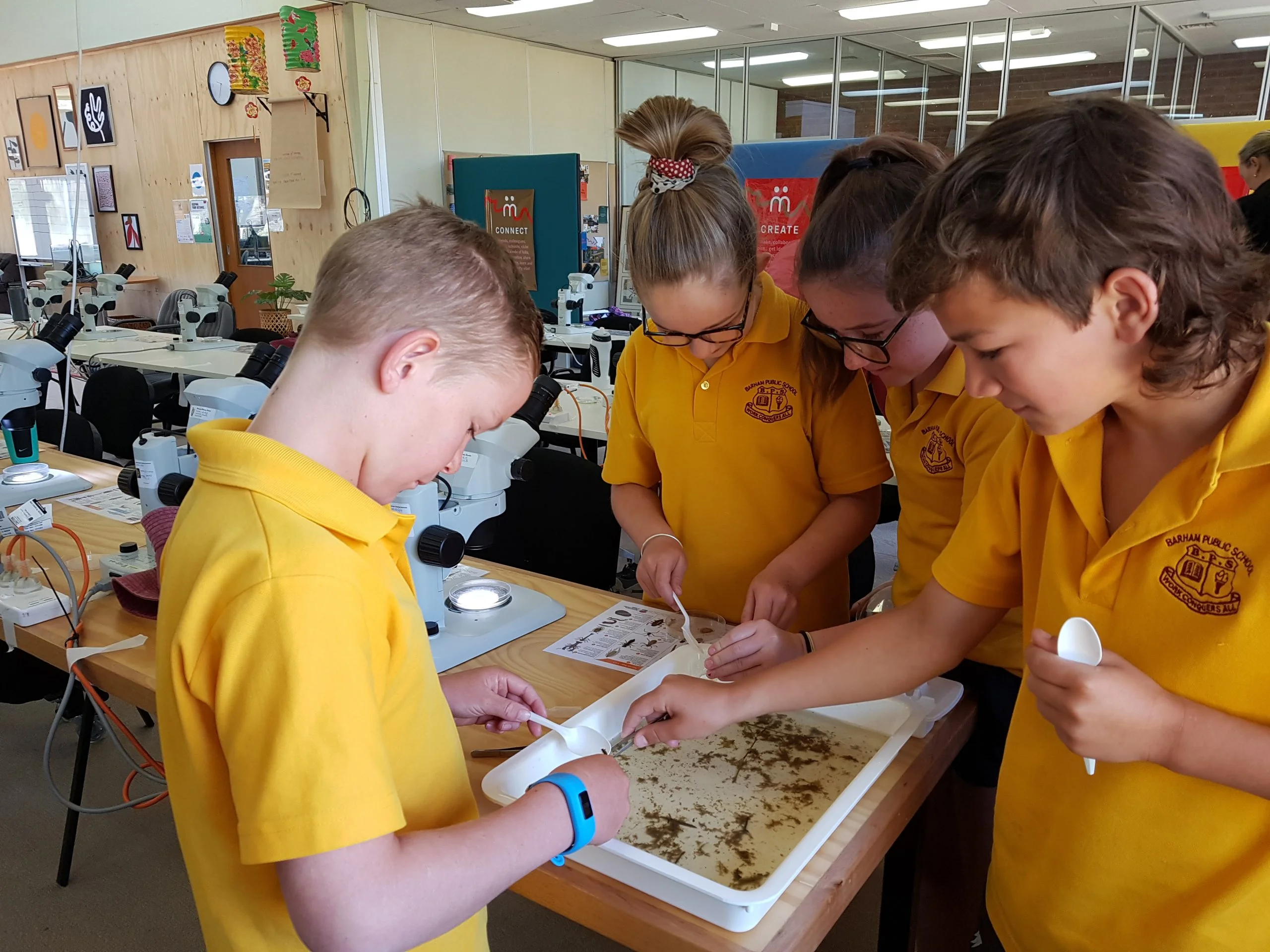 Students from Barham Public School learning about aquatic bugs