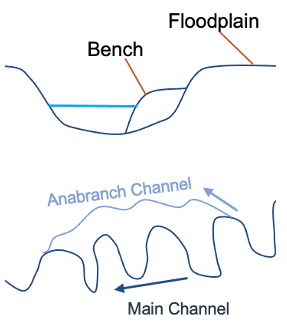 Bench and Floodplain Diagram
