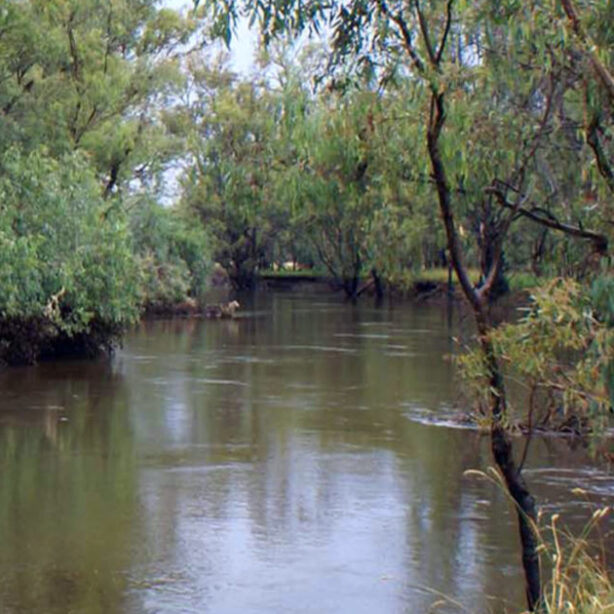 lachlan-river-history TILE