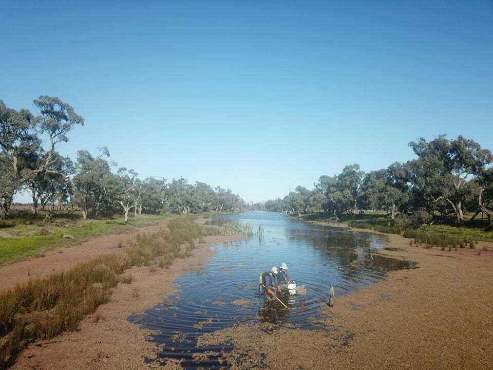 Fish surveys are conducted in Jimaringle creek on a bright, sunny day.