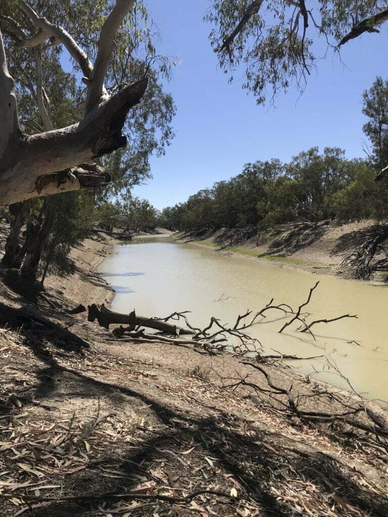 A view of the Darling river from a nearby campsite.