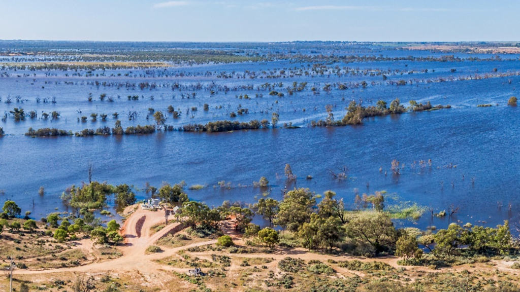 Floodwaters near Berrin South Australia's Riverland.