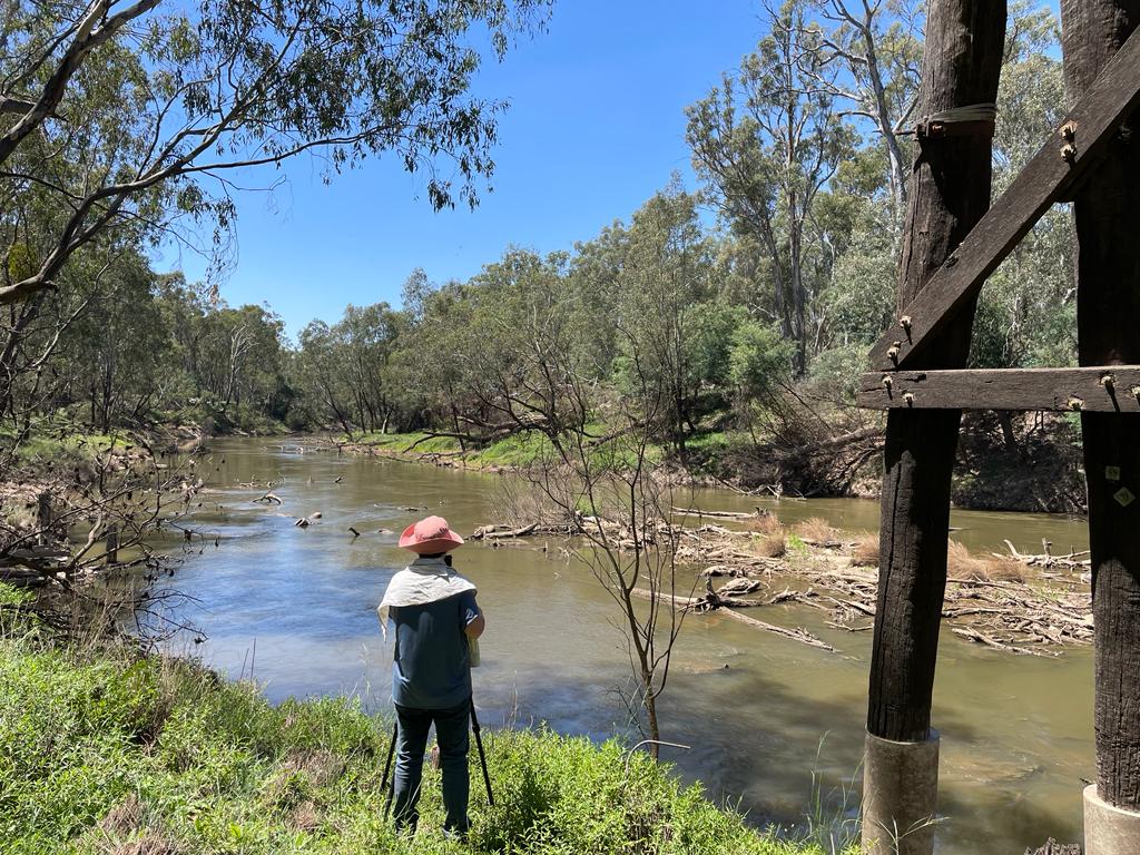 The Goulburn river in February 2023, in recovery from the floods of late 2022.