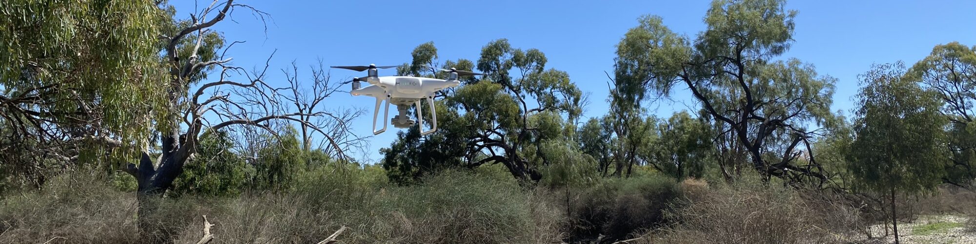 Drone surveys at Hattah Lakes, Mildura. Photo credit: University of Canberra