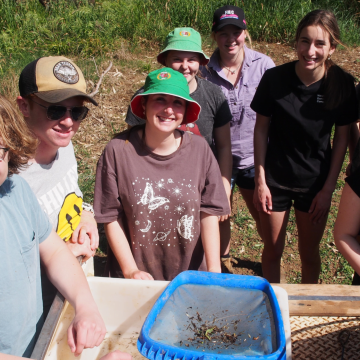 Canowindra High Schools Year 11 Biology class helping out.