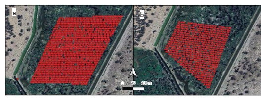 Drone transects over ibis breeding site. Source: Francis et. al 2023